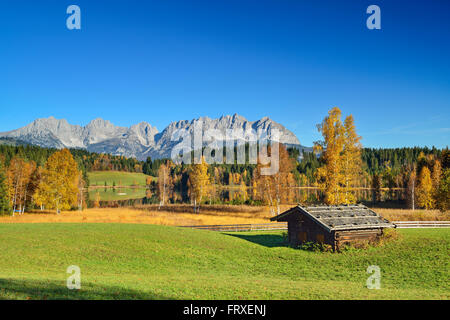 Les bouleaux en automne les couleurs en face du lac Schwarzsee avec vue de Wilder Kaiser avec Treffauer Karlspitzen, Ellmauer Halt, Regalmspitze, Ackerlspitze Maukspitze, et le lac Schwarzsee, Kitzbühel, Tyrol, Autriche Banque D'Images