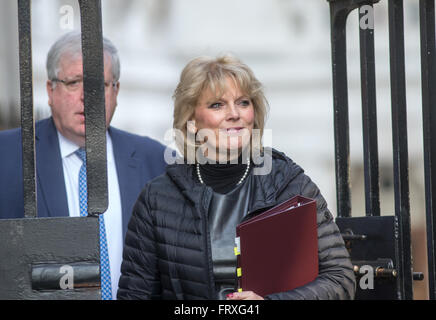 Anna Soubry,ministre de la petite entreprise,l'industrie et de l'entreprise,au numéro 10 Downing Street pour une réunion du Cabinet Banque D'Images