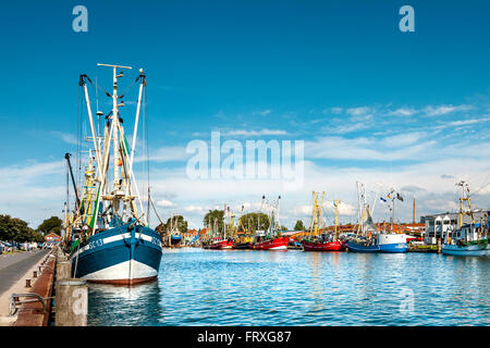 Bateaux de pêche dans le port, Buesum, Dithmarschen, côte de la mer du Nord, Schleswig-Holstein, Allemagne Banque D'Images