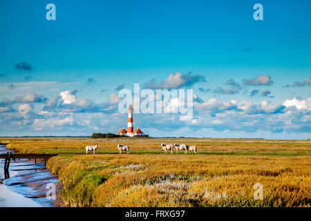 Phare de Westerhever, Eiderstedt péninsule, côte de la mer du Nord, dans le Nord de la Frise, Schleswig-Holstein, Allemagne Banque D'Images