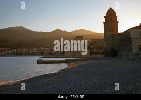 Plage de Collioure à l'Église Notre-Dame-des-Anges et Château des Templiers, Côte Vermeille, Méditerranée, Département Pyrénées-Orientales, Roussillon, France, Europe Banque D'Images