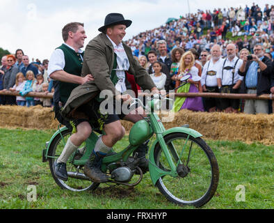 Ox racing en Muensing, Le Lac de Starnberg, Bad Toelz, Wolfratshausen, Upper Bavaria, Bavaria, Germany Banque D'Images