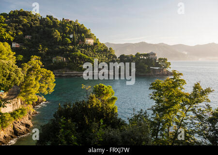 Littoral près de Portofino, province de Naples, Riviera Italienne, ligurie, italie Banque D'Images