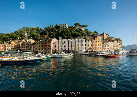 Portofino avec port, province de Naples, Riviera Italienne, ligurie, italie Banque D'Images