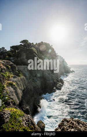 Littoral près de Portofino, province de Naples, Riviera Italienne, ligurie, italie Banque D'Images