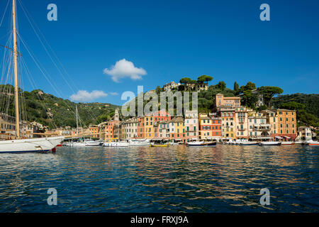 Portofino, province de Naples, Riviera Italienne, ligurie, italie Banque D'Images