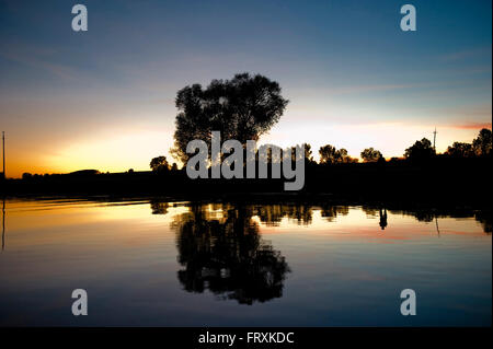 Les paysages le long de la rivière dans le coucher du soleil, Parc National de Narew, Podlaskie Voivodeship, Pologne Banque D'Images