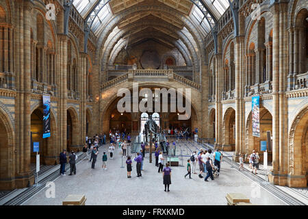 Musée d'histoire naturelle à l'intérieur et les touristes à Londres Banque D'Images