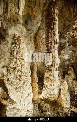 Grottes de Toirano, Toirano, Province de Savone, ligurie, italie Banque D'Images
