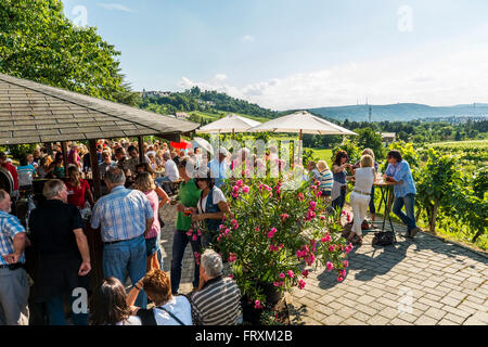 Les clients dans une taverne à vin Besenwirtschaft entre vignobles, Stuttgart, Bade-Wurtemberg, Allemagne Banque D'Images