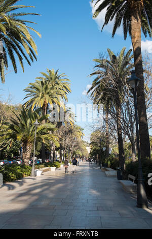 Paseo del Parque. Málaga. Banque D'Images