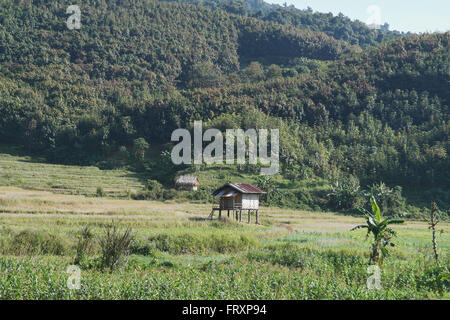 Village Akha près de Luang Prabang - Laos Banque D'Images