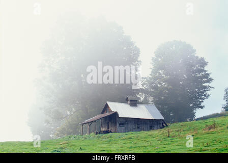 Cabane à sucre à l'automne, Peacham, Vermont, Etats-Unis Banque D'Images