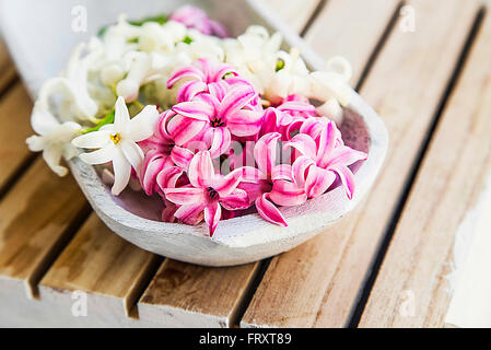 L'établissement Spa avec blanc et Jacinthe rose fleurs Banque D'Images