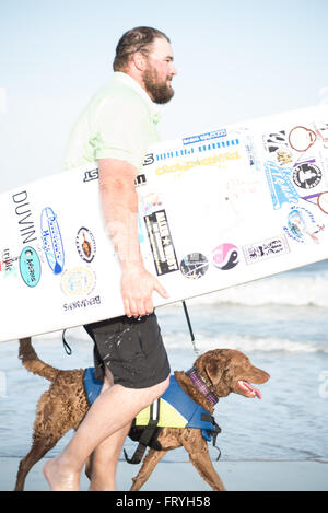 Fernandina Beach, USA. 24 mars, 2016. Un jour avant le grand événement chiens de partout au pays participent à un chien surf clinic dirigée par Adam 'pop' Steinberg à Main Beach sur Amelia Island, USA. Crédit : David Day/Alamy Live News. Banque D'Images