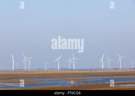 Éoliennes et ciel bleu au-dessus de eempolder aux Pays-Bas avec des oiseaux dans la région de Meadow Banque D'Images