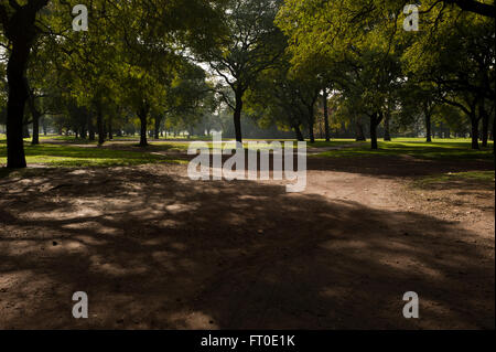 Palerme Woods, Buenos Aires Banque D'Images