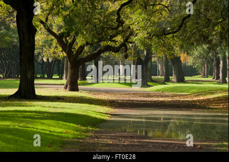 Palerme Woods, Buenos Aires Banque D'Images