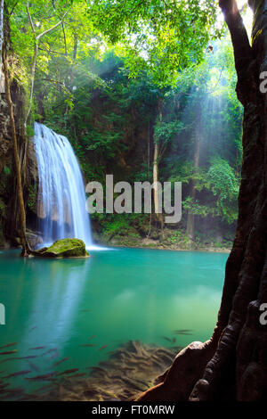 Chute d'eau d'Erawan, Kanchanaburi, Thaïlande Banque D'Images