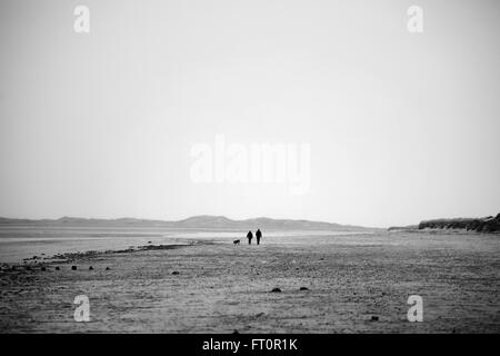 Homme et une femme marchant avec un chien sur la plage de Brancaster, Norfolk, Angleterre, Royaume-Uni. Banque D'Images