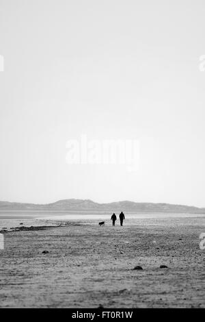 Homme et une femme marchant avec un chien sur la plage de Brancaster, Norfolk, Angleterre, Royaume-Uni. Banque D'Images