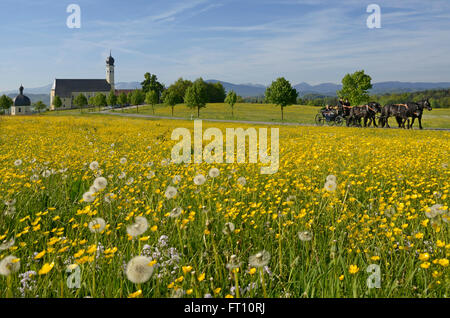 Calèche, église de pèlerinage Wilparting, Irschenberg, Upper Bavaria, Allemagne Banque D'Images