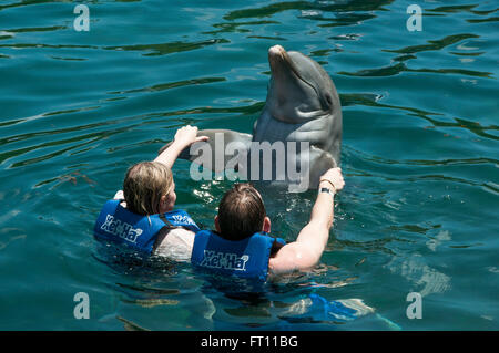 Deux personnes nager avec un dauphin, parc aquatique de Xel-Ha, Tulum, Riviera Maya, Quintana Roo, Mexique Banque D'Images