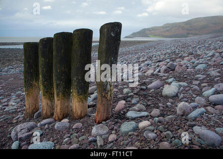 Bossington beach près de Porlock dans le Somerset UK montrant de grandes roches colorées et vieux bois épis patinées par la marée et la mer, la baie est sur le chemin côtier du sud-ouest a 630 km à pied autour de la côte britannique de Minehead au port de Poole, dans le Dorset. Banque D'Images