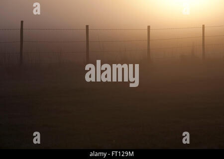 Les couchers de soleil sur un champ dans le pays de jeter dans une silhouette de barbelés qui traverse les champs. Banque D'Images
