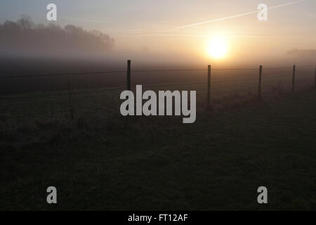 Les couchers de soleil sur un champ dans le pays de jeter dans une silhouette de barbelés qui traverse les champs. Banque D'Images