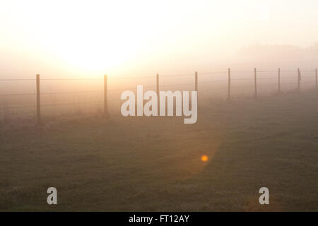 Les couchers de soleil sur un champ dans le pays de jeter dans une silhouette de barbelés qui traverse les champs. Banque D'Images