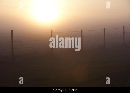 Les couchers de soleil sur un champ dans le pays de jeter dans une silhouette de barbelés qui traverse les champs. Banque D'Images