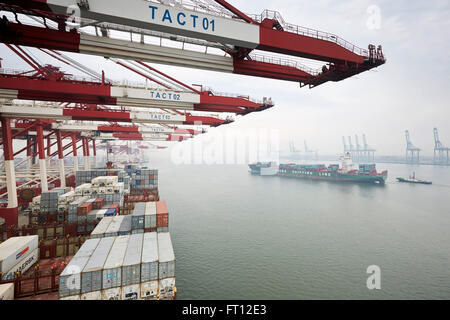 Pont de conteneurs, le Port de Tianjin, Tianjin, Chine Banque D'Images