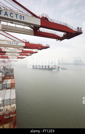 Pont de conteneurs, le Port de Tianjin, Tianjin, Chine Banque D'Images