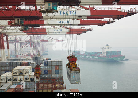 Pont de conteneurs, le Port de Tianjin, Tianjin, Chine Banque D'Images