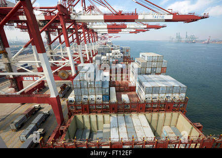 Container ship in port, Port de Tianjin, Tianjin, Chine Banque D'Images