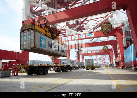 Le chargement d'un conteneur sur un camion à l'Harbour, le Port de Tianjin, Tianjin, Chine Banque D'Images
