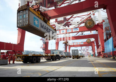 Chargement de conteneur sur un camion à l'Harbour, le Port de Tianjin, Tianjin, Chine Banque D'Images