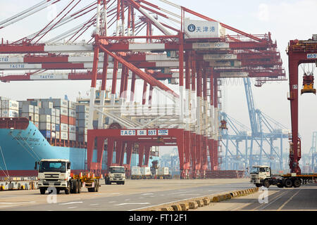Container ship in port, Port de Tianjin, Tianjin, Chine Banque D'Images