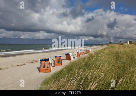 L'automne le long de la côte de la mer Baltique, Heiligendamm, Allemagne Mecklembourg-Poméranie occidentale, Banque D'Images