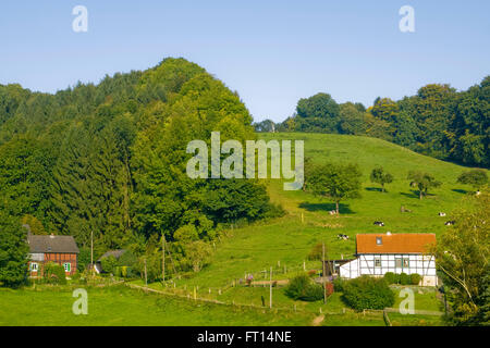 BRD, Nordrhein-Westfalen, Rhin-berg, Bergisch-Gladbach, Landschaft bei Herrenstrunden Banque D'Images