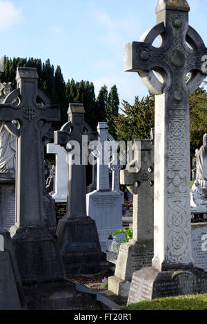 Cimetière Glasnevin à Dublin, Irlande, Europe Banque D'Images