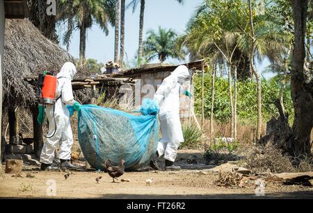 Une équipe médicale supprime la literie et une moustiquaire à partir de l'accueil d'une victime du virus Ebola en préparation pour la décontamination 10 février 2015, dans le district de Port Loko, Sierra Leone. Banque D'Images