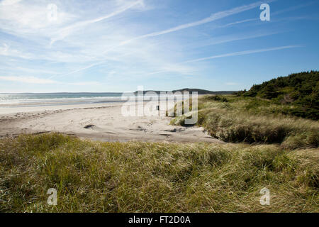Les dunes de sable en Nouvelle-Écosse Banque D'Images