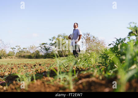 L'agriculture et cultures d'Amérique latine. Middle aged hispanic farmer standing fier dans le champ de tomates, en contemplant le sol Banque D'Images