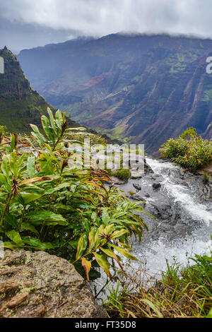 Au sommet d'Waipoo tombe sur le Canyon de Waimea à Kauai Banque D'Images