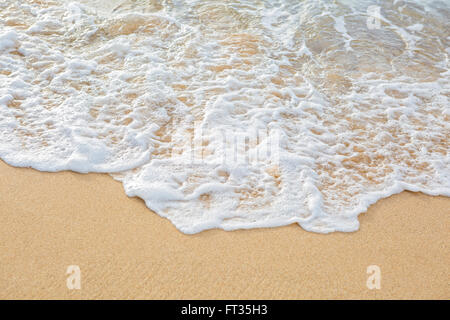 Mousse sur le sable de la plage Banque D'Images