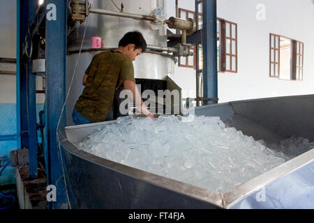 Un homme travaille avec une grande machine de fabrication de glace dans une installation connue comme l'Im Chheng en usine ou Reang Ov, le Cambodge. Banque D'Images