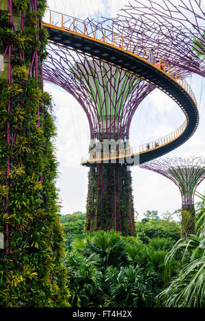 Les gens sur la passerelle surélevée par l'Supertree Grove à Gardens by the Bay, Singapour Banque D'Images
