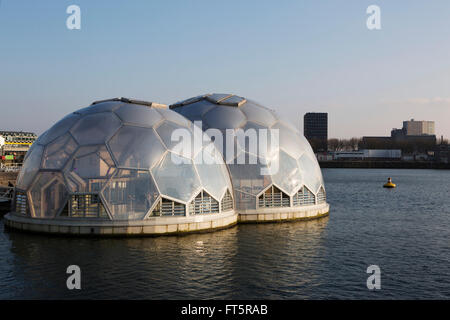 Le pavillon flottant à Rotterdam, aux Pays-Bas. Banque D'Images